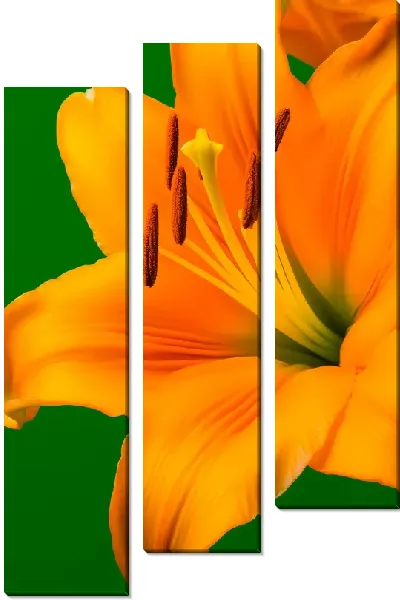 Модульная картина Оранжевая лилия №2