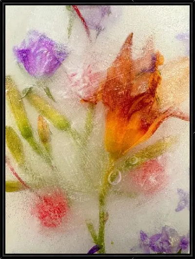 Картина Лилия во льду