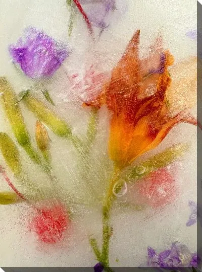 Постер Лилия во льду