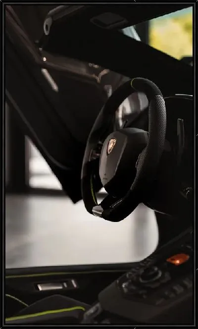 Картина Руль Ламборгини