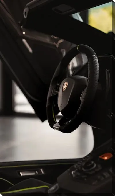 Постер Руль Ламборгини