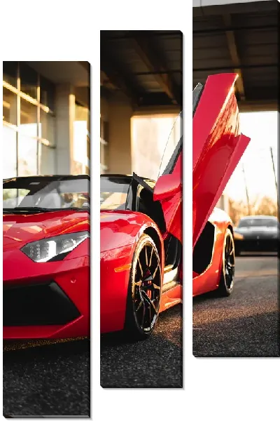Модульная картина Дверь Феррари