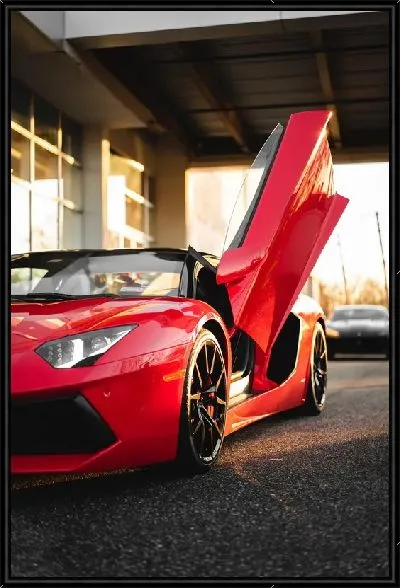 Картина Дверь Феррари