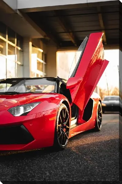 Постер Дверь Феррари