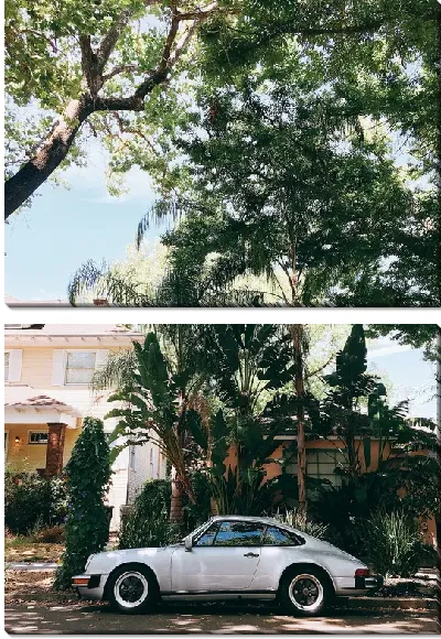 картина