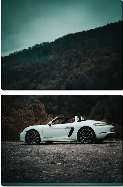 Модульная картина Порше №63