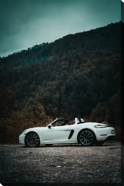 Постер Порше №63