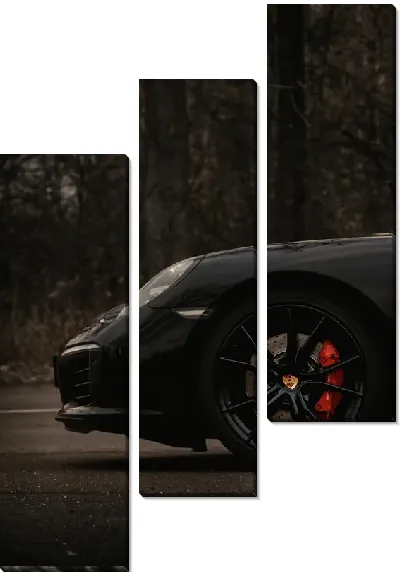 Модульная картина Porsche №5