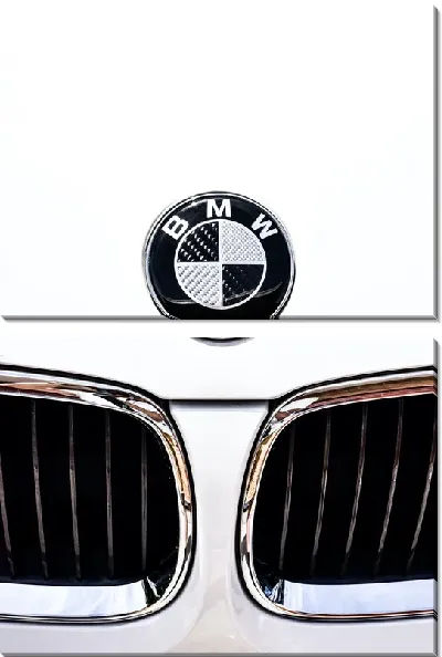 Модульная картина Логотип БМВ