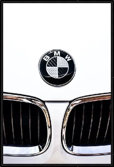 Картина Логотип БМВ