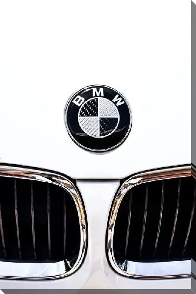 Постер Логотип БМВ