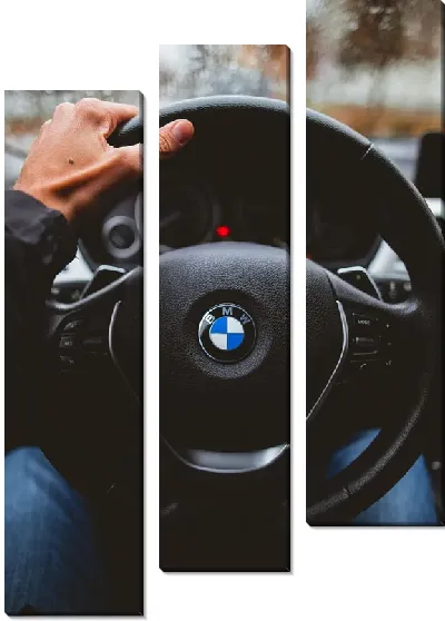 Модульная картина Руль БМВ