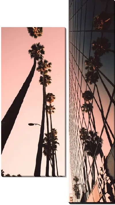 Модульная картина Пальмы в LA на закате