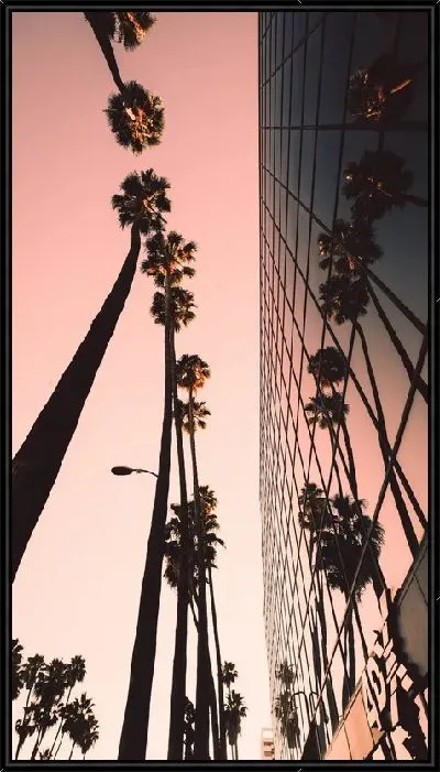 Картина Пальмы в LA на закате