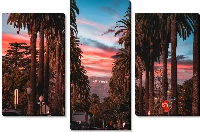 Модульная картина Аллея на закате в Лос-Анджелесе