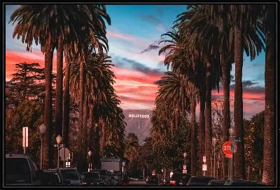 Картина Аллея на закате в Лос-Анджелесе