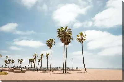 Постер Пляж в Лос-Анджелесе №9