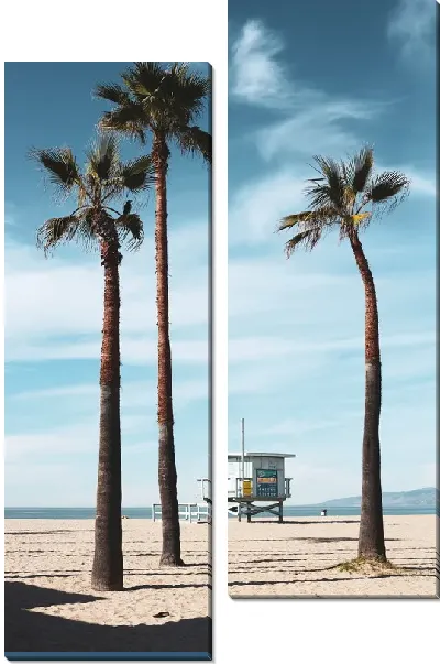 Модульная картина Пальмы на пляже Лос-Анджелеса №4