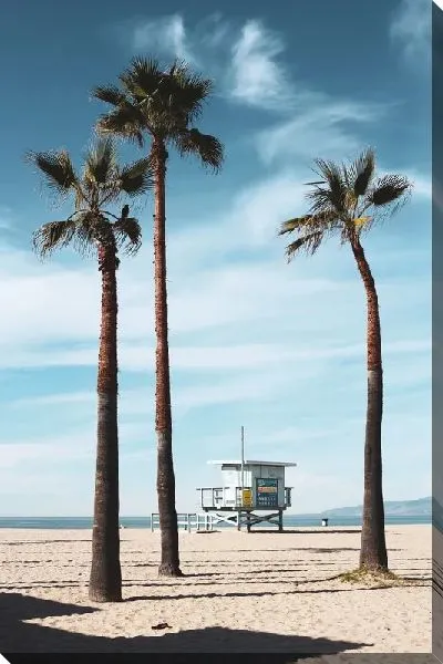Постер Пальмы на пляже Лос-Анджелеса №4