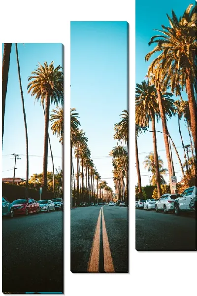 Модульная картина Трасса в Лос-Анджелесе