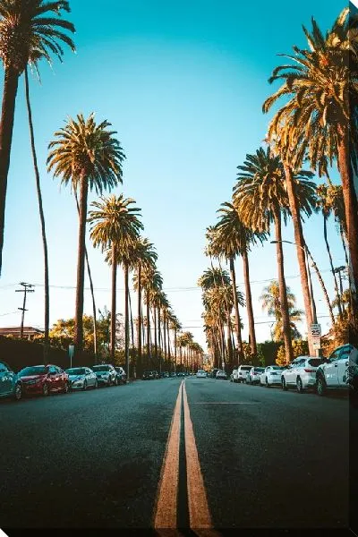 Постер Трасса в Лос-Анджелесе