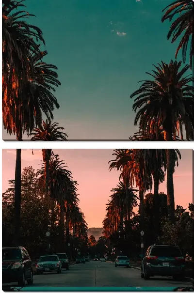 Модульная картина Пальмы на аллее в Лос-Анджелесе