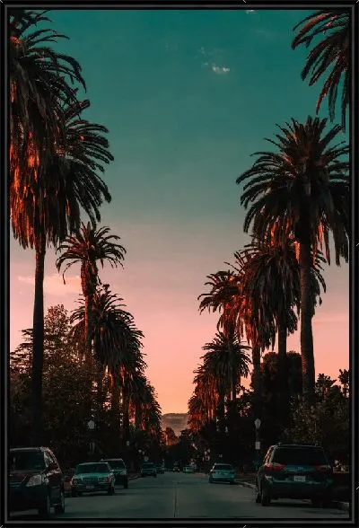 Картина Пальмы на аллее в Лос-Анджелесе