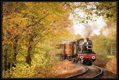 Паровоз в осеннем лесу