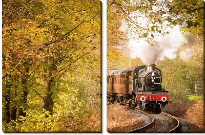 Паровоз в осеннем лесу