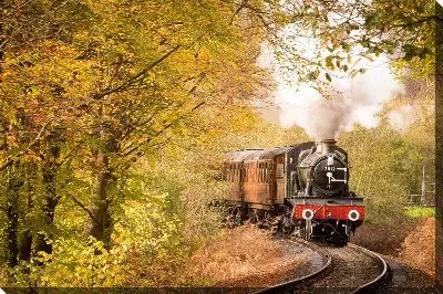 Паровоз в осеннем лесу