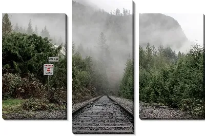 Модульная картина Туман в горах у железной дороги