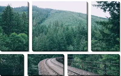 картина
