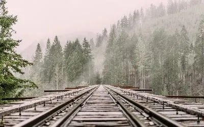шаблон id 38
