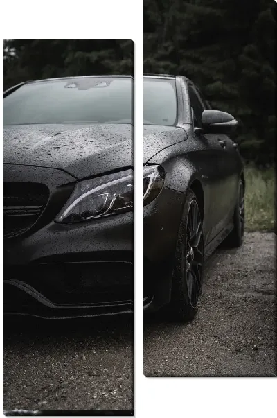 Модульная картина Мерседес №2