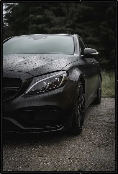 Картина Мерседес №2