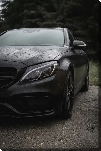 Постер Мерседес №2