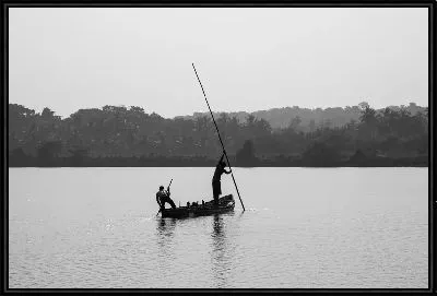 Картина Рыбалка в Индии