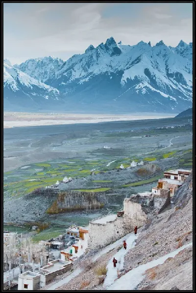 картина