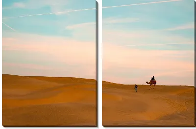 Модульная картина Верблюд в пустыне Индии