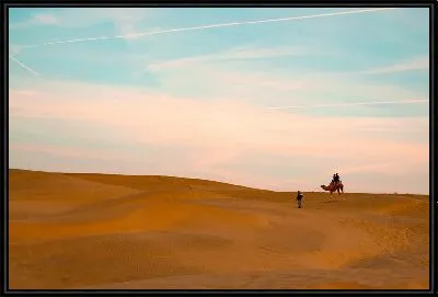 Картина Верблюд в пустыне Индии