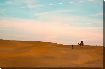 Постер Верблюд в пустыне Индии