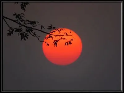 Картина Красное Солнце Индии