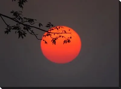 Красное Солнце Индии