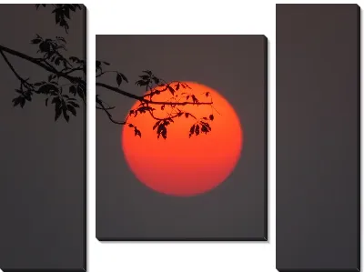 Красное Солнце Индии