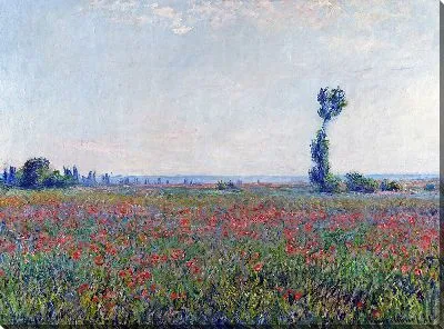 Картина Поле маков №3