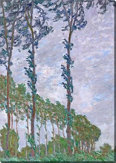 Картина Эффект ветра, серия «Тополя»