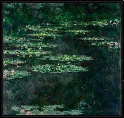 Черные кувшинки