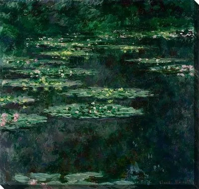 Черные кувшинки