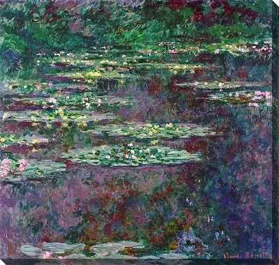 Кувшинки №25 (с цветокоррекцией)