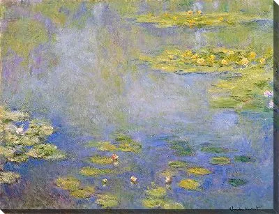 Картина Кувшинки №26 (с цветокоррекцией)